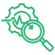 Free Zone Inventory Reconciliations Ensure compliance with Free Zone inventory processes.